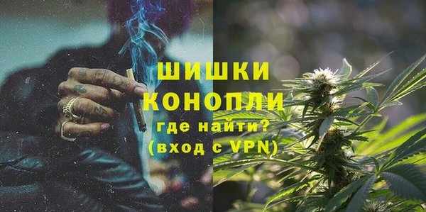 амф Липки