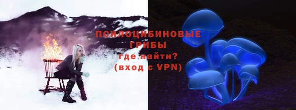 сатива Майский