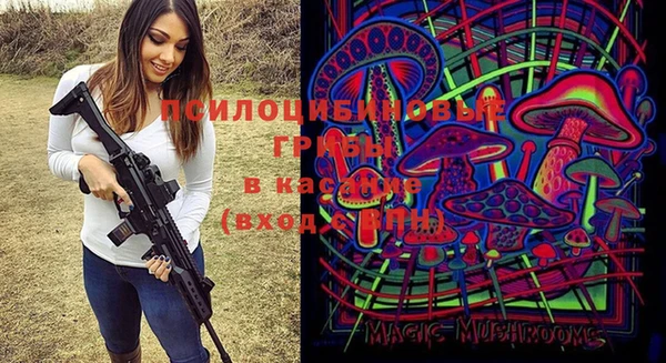 сатива Майский